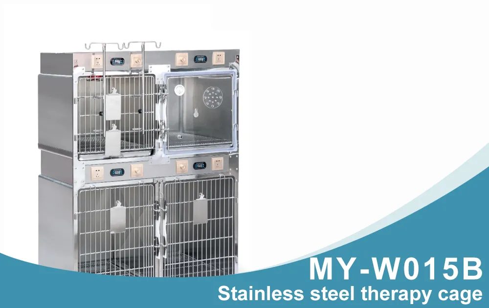 Veterinary Clinic Therapy Cage Overview
