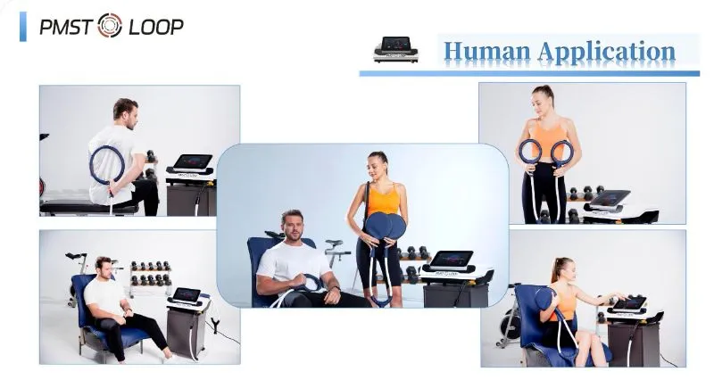 Human and Horse PEMF