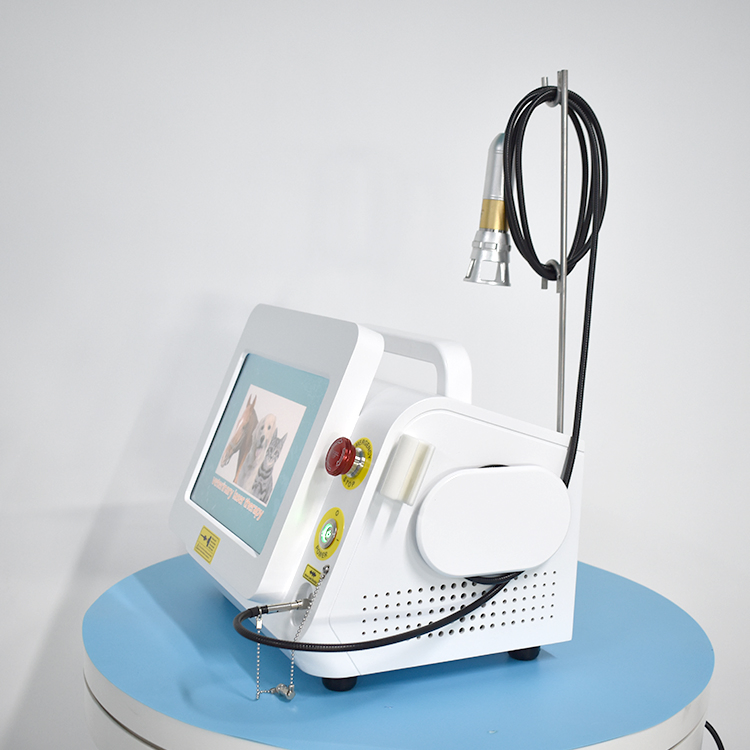 Best Physiotherapy 980nm Veterinary Equipment Physiotherapy Rehabilitation Therapy
