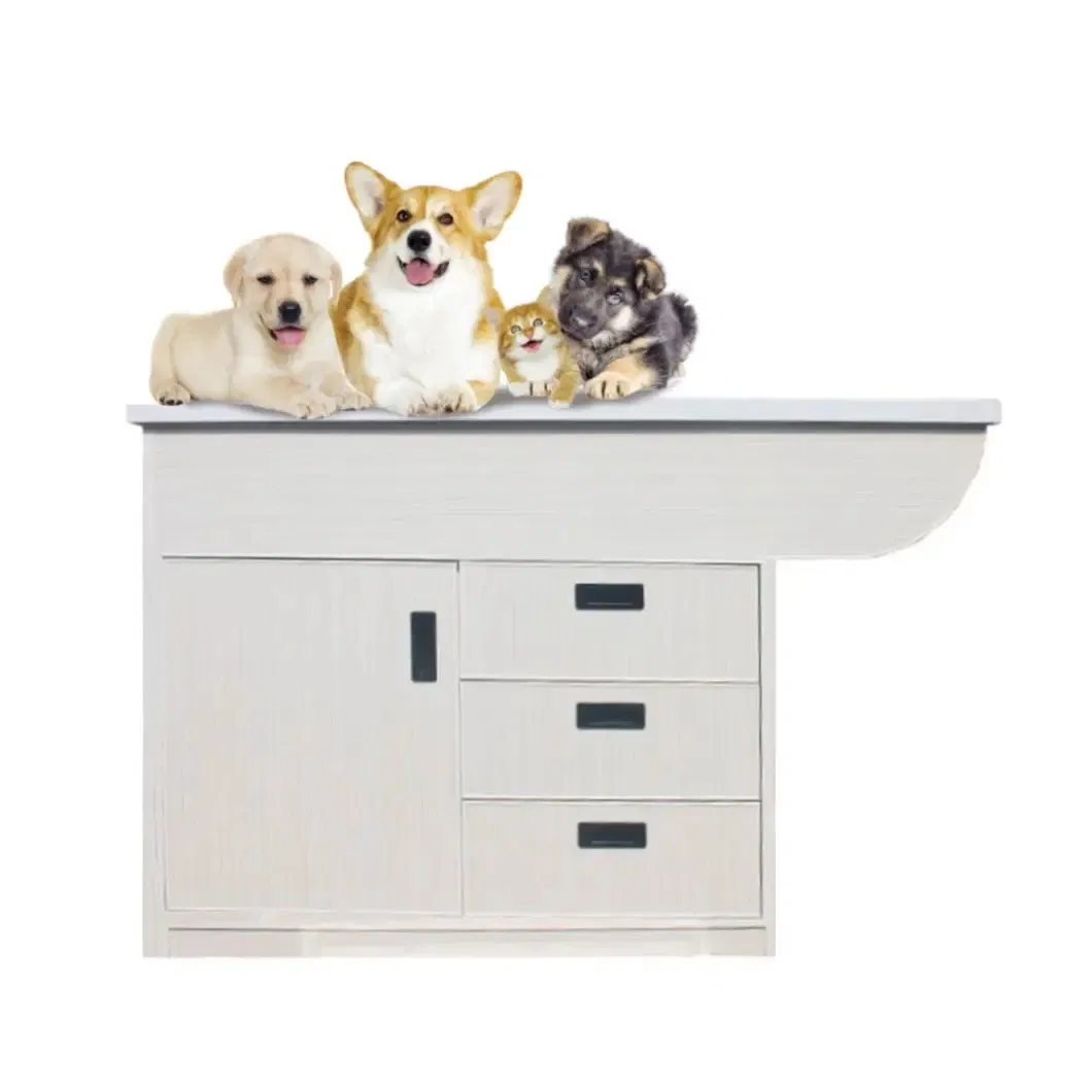 Veterinary Disposal Examination Table Dry Wood Frame for Pet Vet Hospital Operating Room Clinic