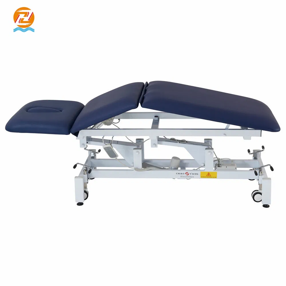 Three Section Multifunction Electric Portable Treatment Table Veterinary Examination Bed