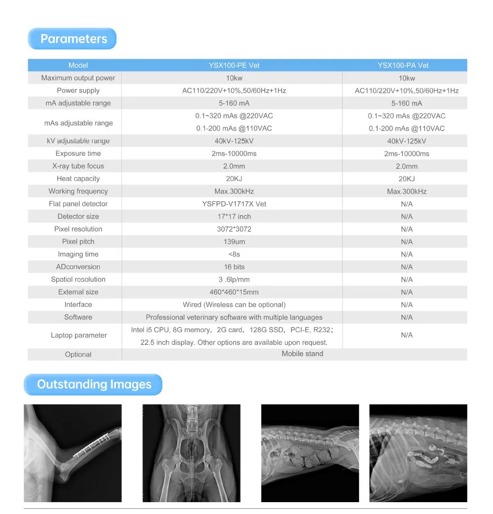 Veterinary X-ray Detail 2
