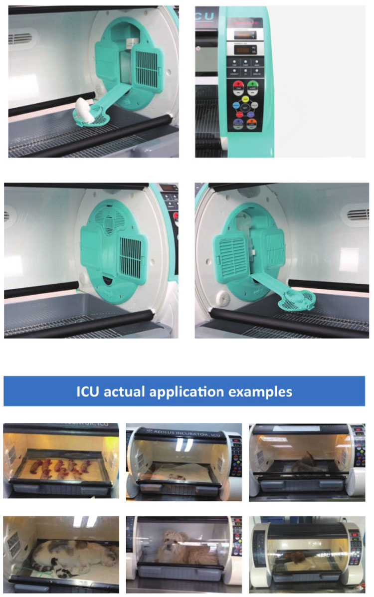 Improved Humidification Sterilization System Medical Pet Incubator Veterinary Equipments