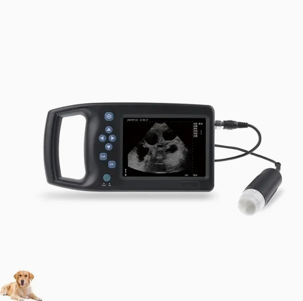Medical Portable Handheld Professional Animals Palm Full-Digital Veterinary Ultrasound Machine System Price