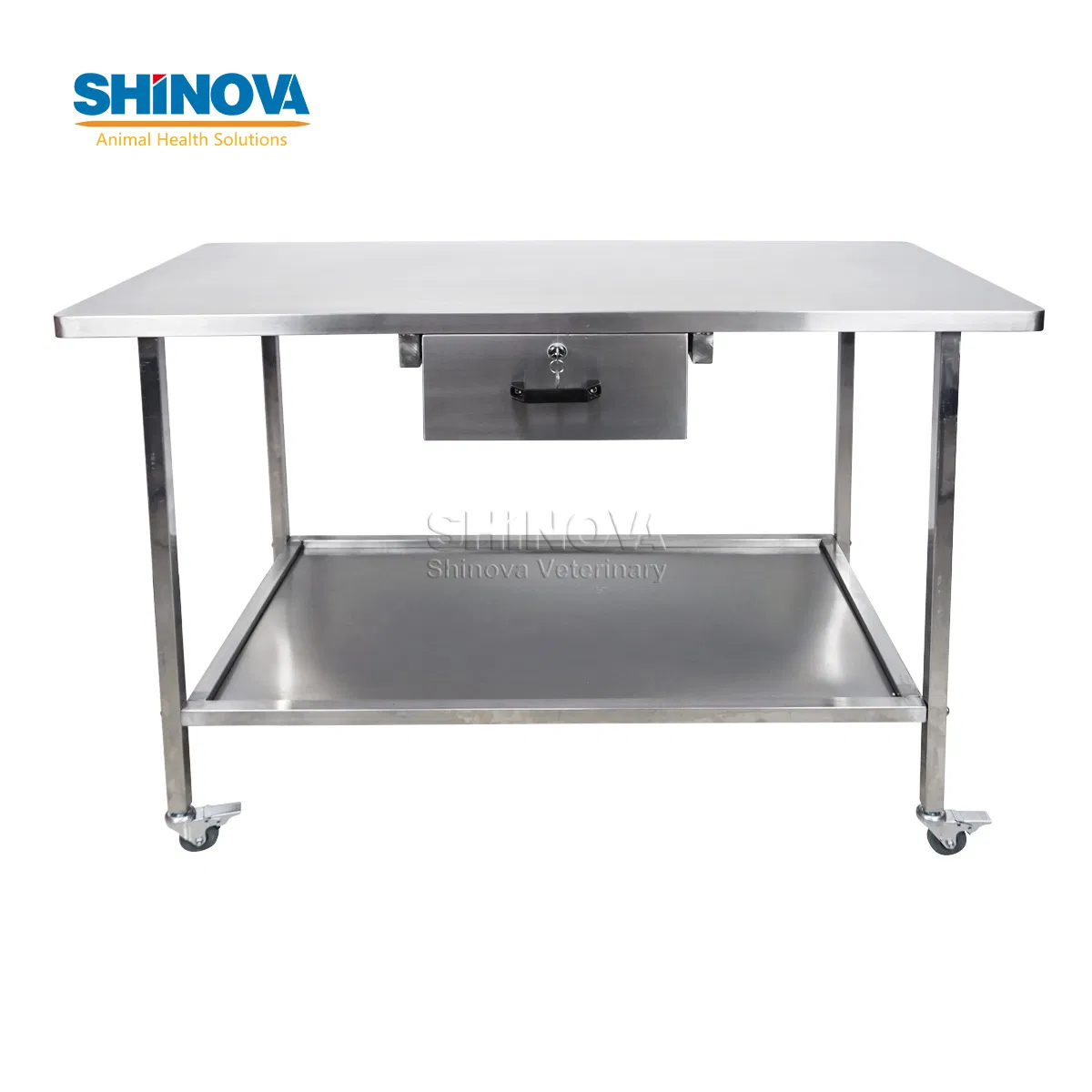 Veterinary Examination Table Stainless Steel Veterinary Operating Examination Table Mt-1200