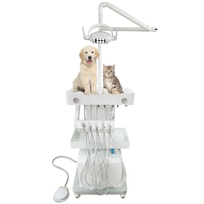 Veterinary Dental Unit