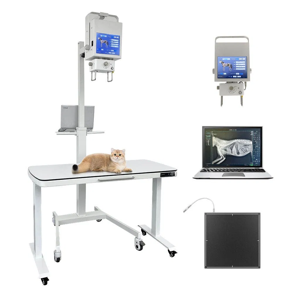 Portable Veterinary X-ray Full Imaging System for Veterinary Clinics Use