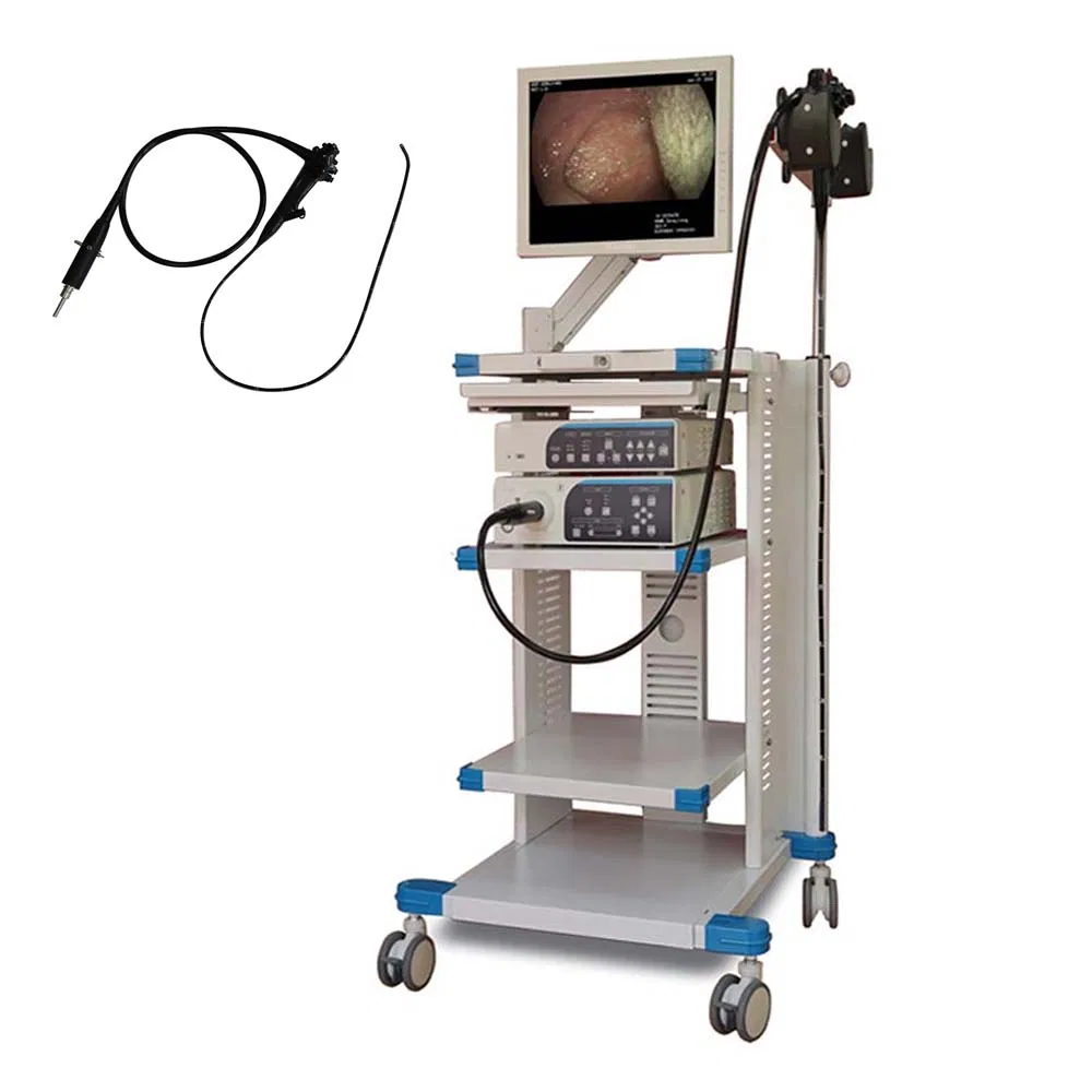 Hospital Medical Video Gastroscope 2.8mm Bronchoscopy Camera Veterinary Endoscope System Gastrointestinal Endoscopy