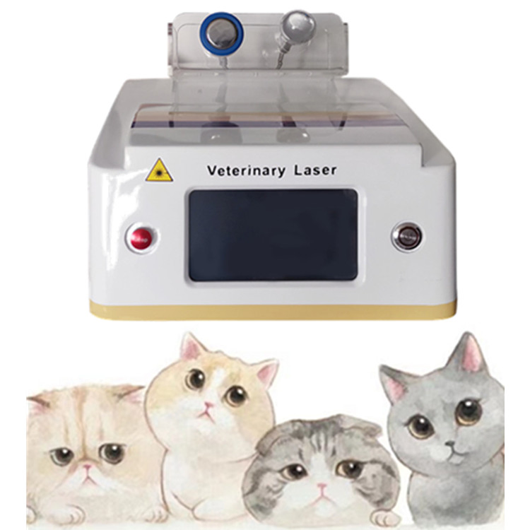 Class IV Cold Laser 980nm Red Light Therapy Pet Pain Relief Animal Hospital Use Veterinary Laser Therapy Equipment