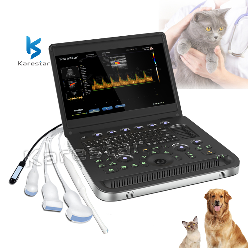 Price Diagnostic Ultrasound Vet Test Pregnancy Veterinary Ultrasound Machine