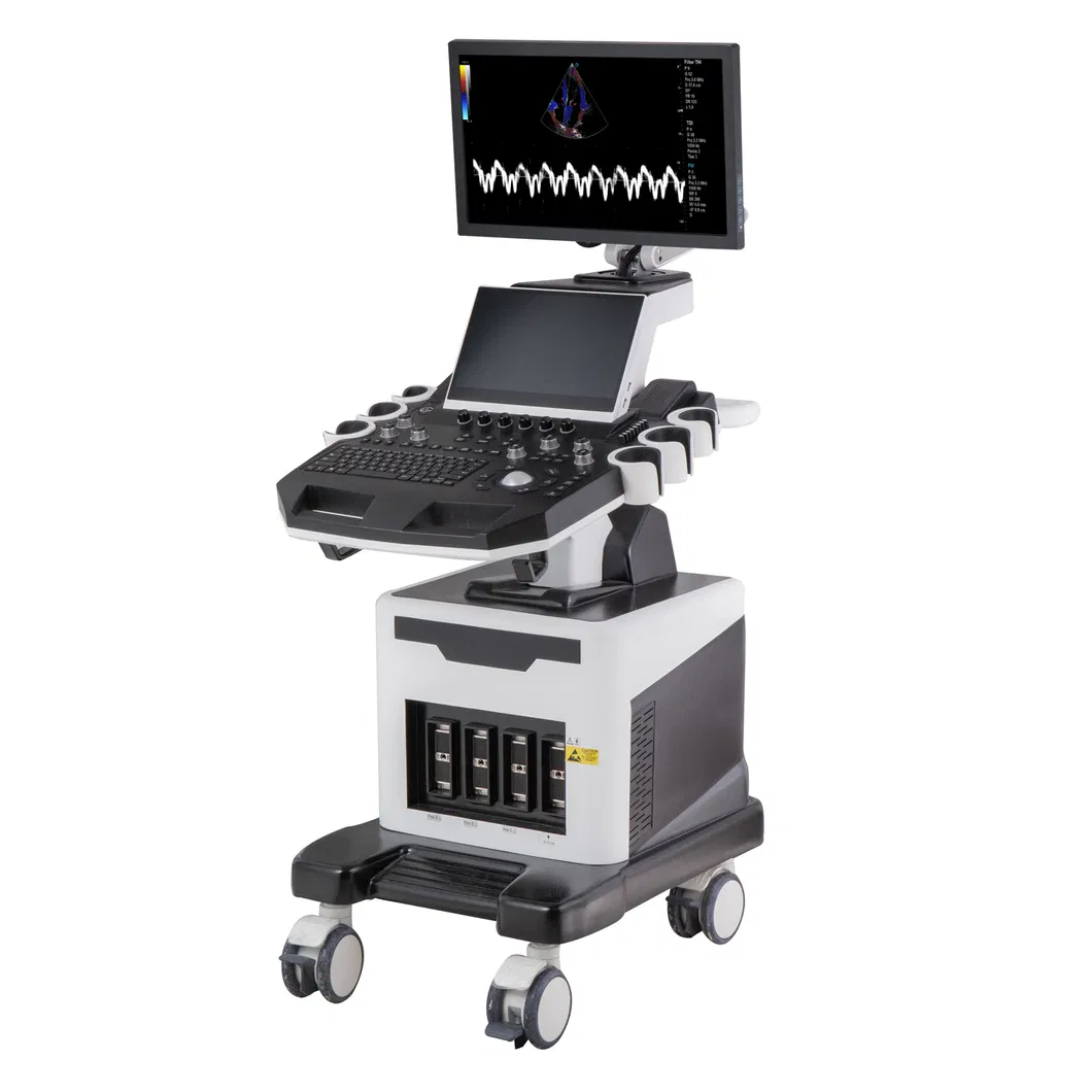 Veterinary Ultrasound System 2