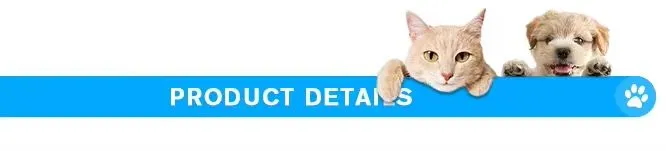 S1 Ultrasound Overview