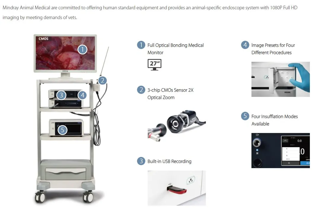 Endoscopy System
