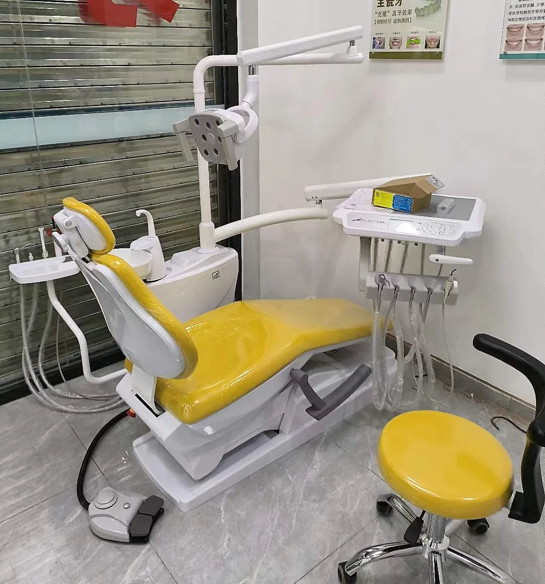 Veterinary China Laboratory Tools Basic Set System Manufacture Dental Equipments