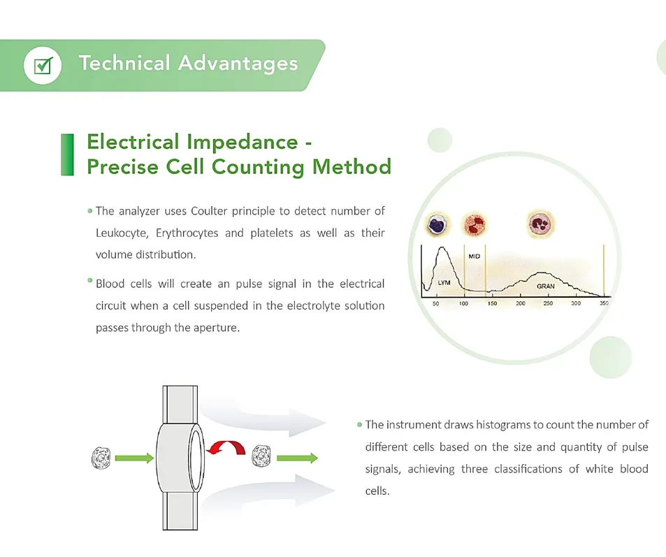 Hematology Analyzer Detail