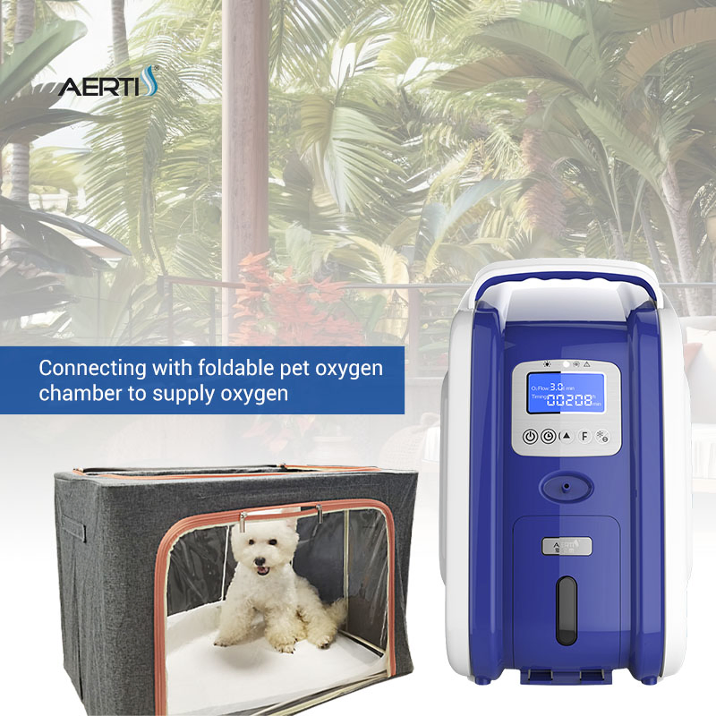 Aerti Oxygen Supplement Device 3L Veterinary Care Oxygen Concentrator for Vet Clinic