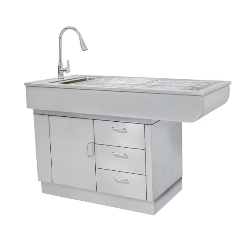 Veterinary Pet Hospital Operating Table Multi-Functional Dental Treatment and Examination Table