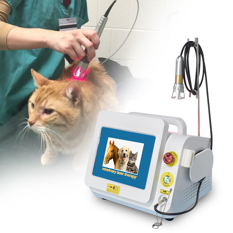 Class IV Laser Physiotherapy Device 980nm Therapy Veterinary Vet Laser Equipment