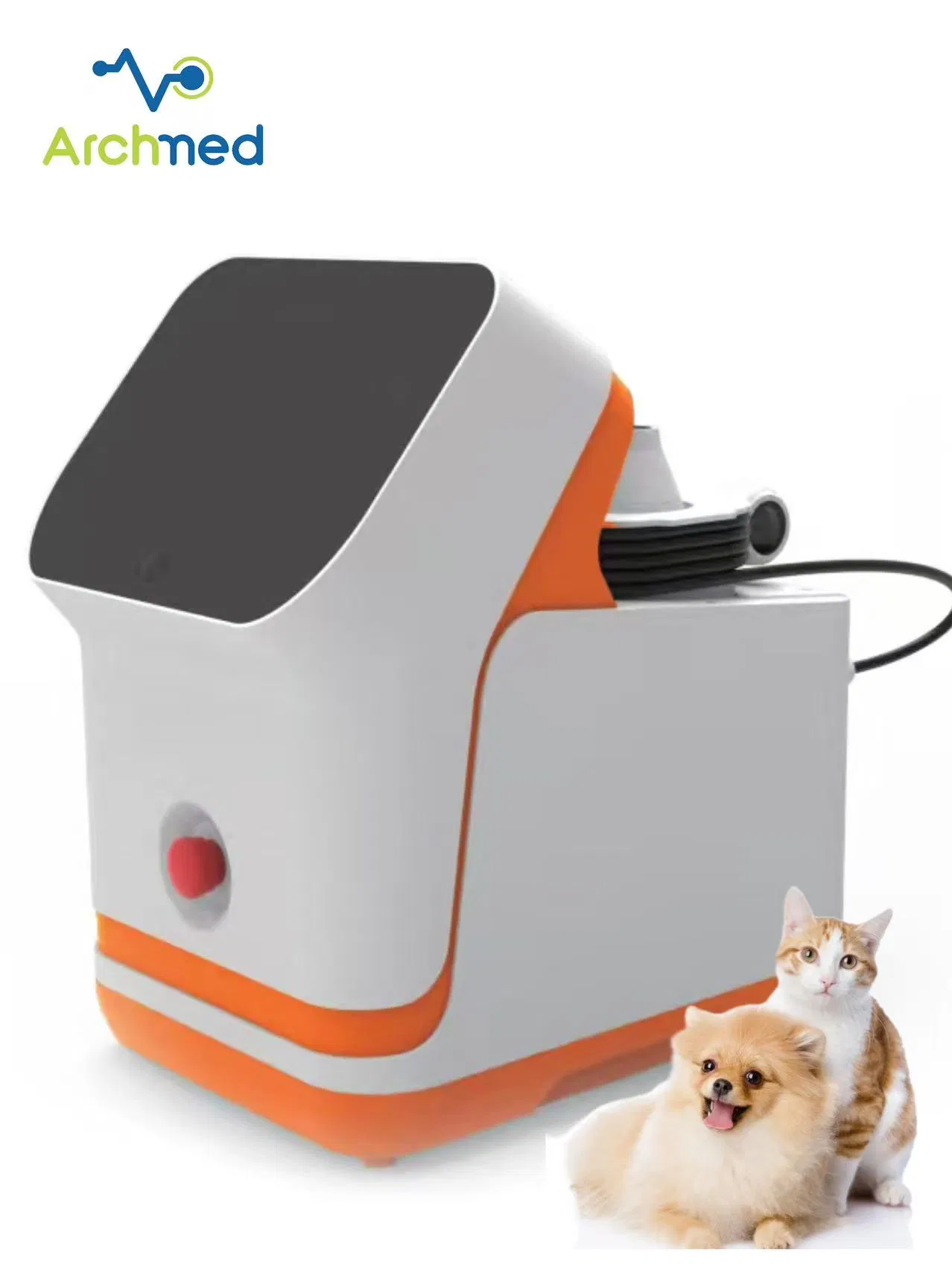 Veterinary Instrument Laser Animal Physiotherapy Pet Therapy Veterinary Therapy Equipment Price