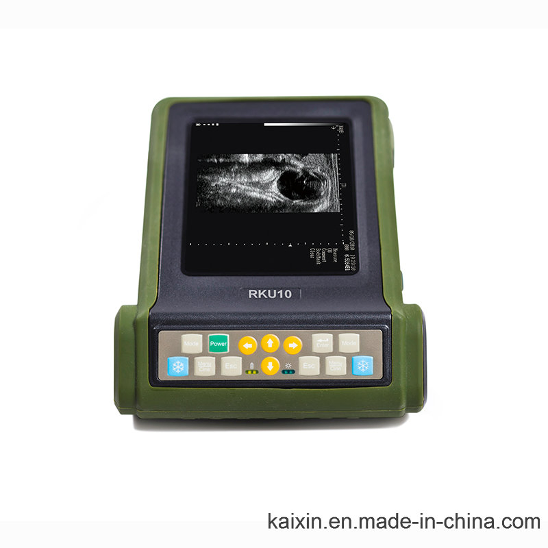 Rku10 Veterinary Ultrasonic Diagnostic Instrument for Bovine