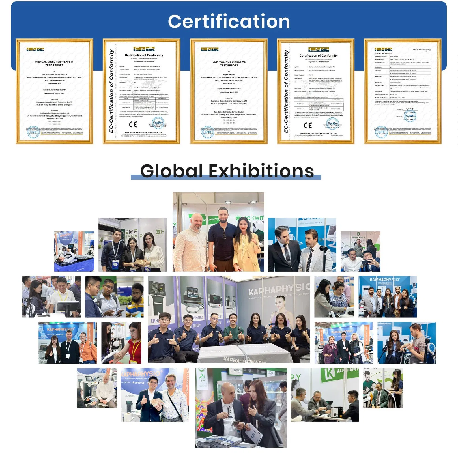 Kaphaphysio Veterinary Shockwave Therapy Equipment Emfocus Vet for Horse Pain Relief Rehabilitation