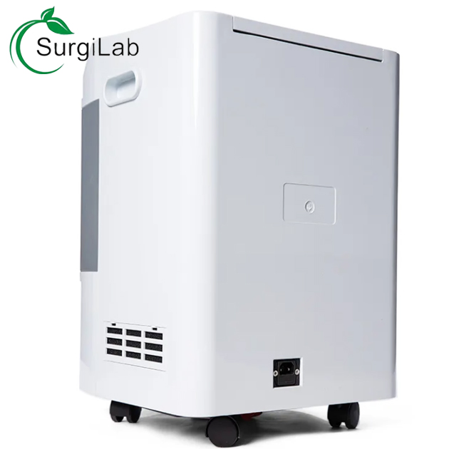 Veterinary Medical 5L 10L Oxygen Concentrator with Double Flow Bottle