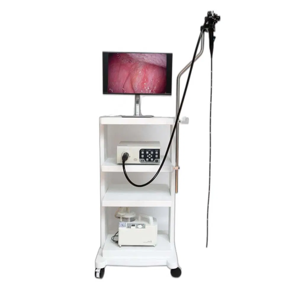 Gastroscope and Colonoscope Medical Endoscopy System Endoscope Gastroscope Veterinary Endoscope Dog Horse