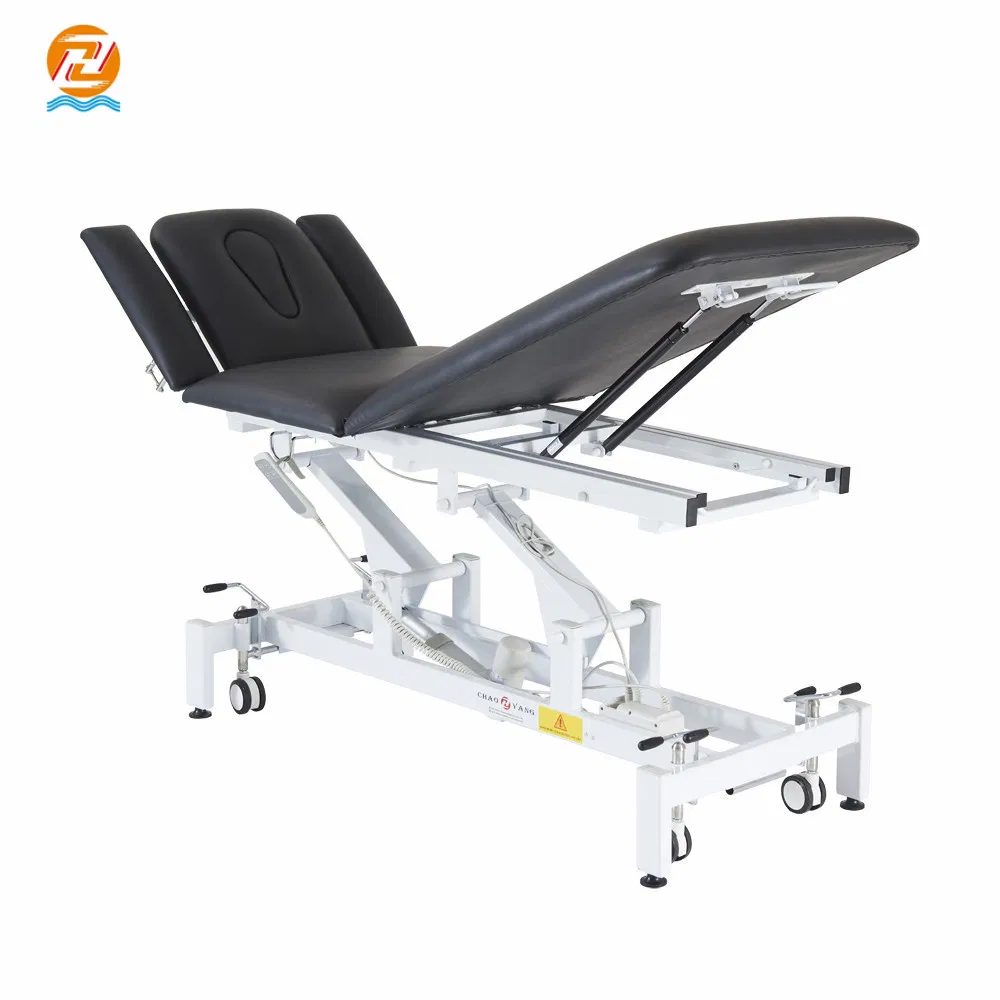 Three Section Multifunction Electric Portable Treatment Table Veterinary Examination Bed