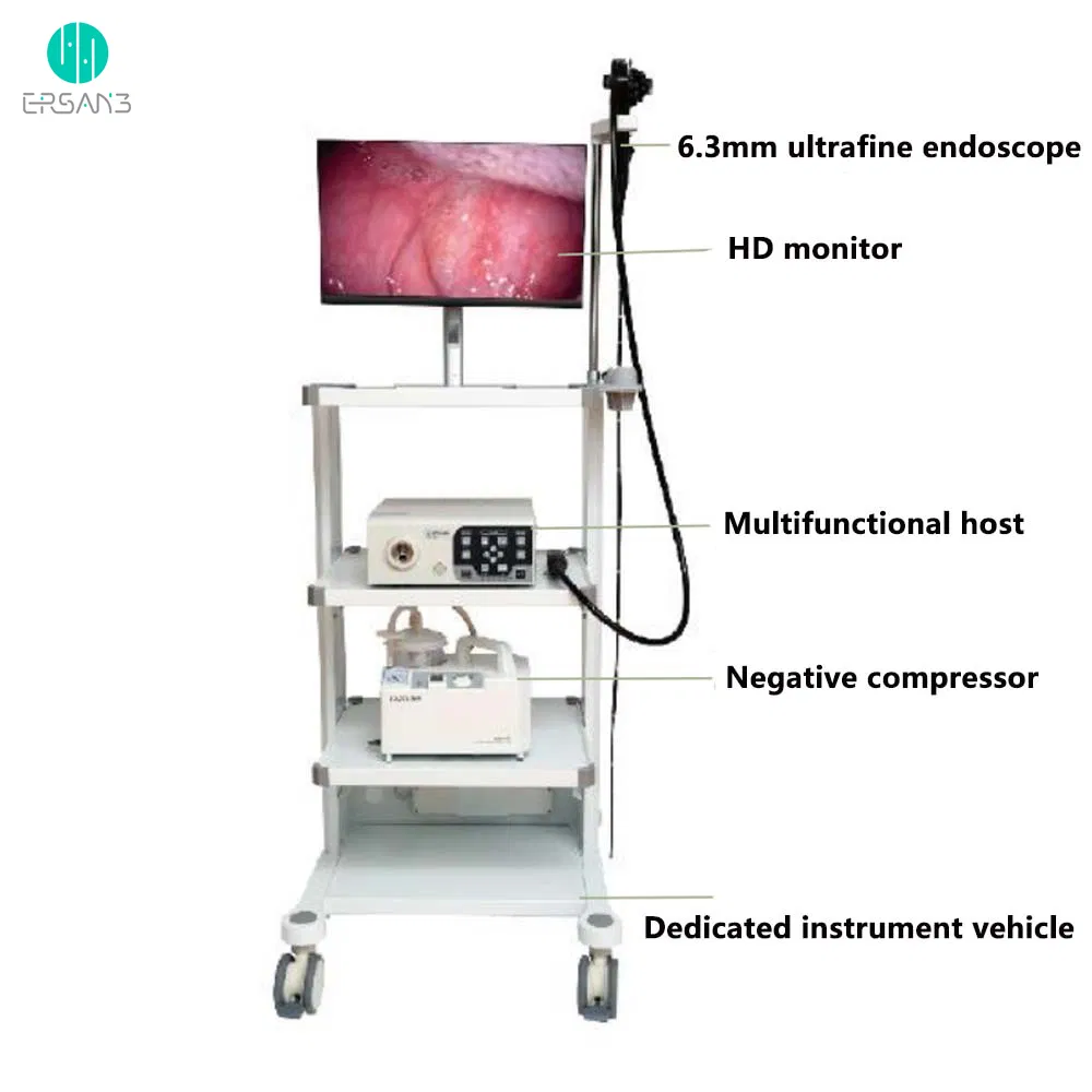 Gastroscope and Colonoscope Medical Gastrointestinal Endoscopy System Endoscope Gastroscope Veterinary Endoscope Dog