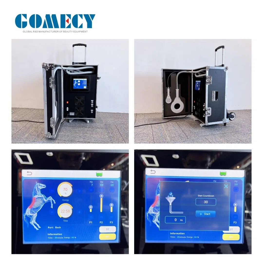 Pmst Magneto Vet Clinic Use Pulse Field Therapy Body Injury Recovery Equipment
