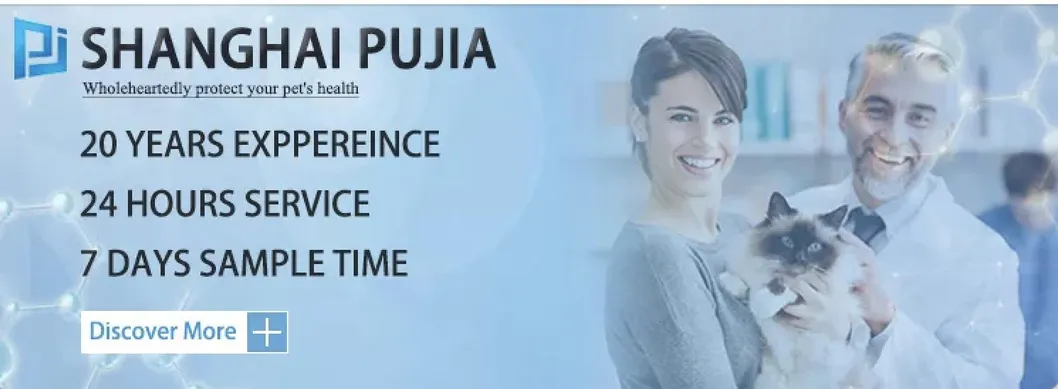 Electric Pet Surgical Table