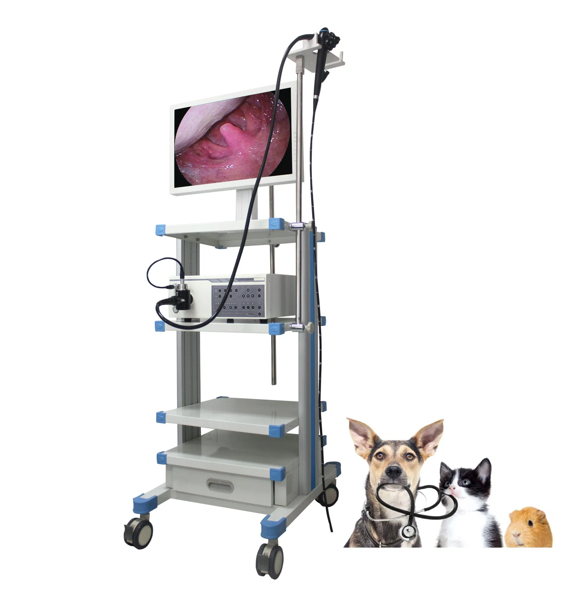 Complete Set Veterinary Endoscopy System