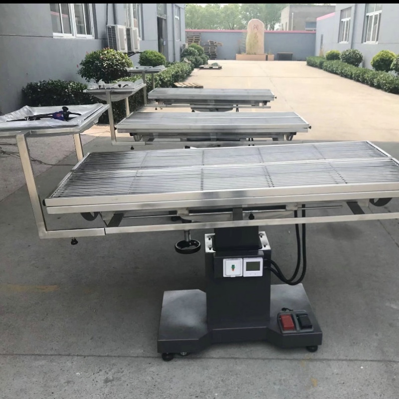 Pet Dog Veterinary Treating Table Surgical Animal Dog Clinic Operation Table