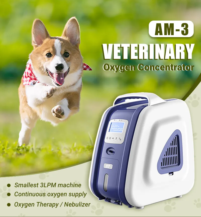 Oxygen Concentrator Overview