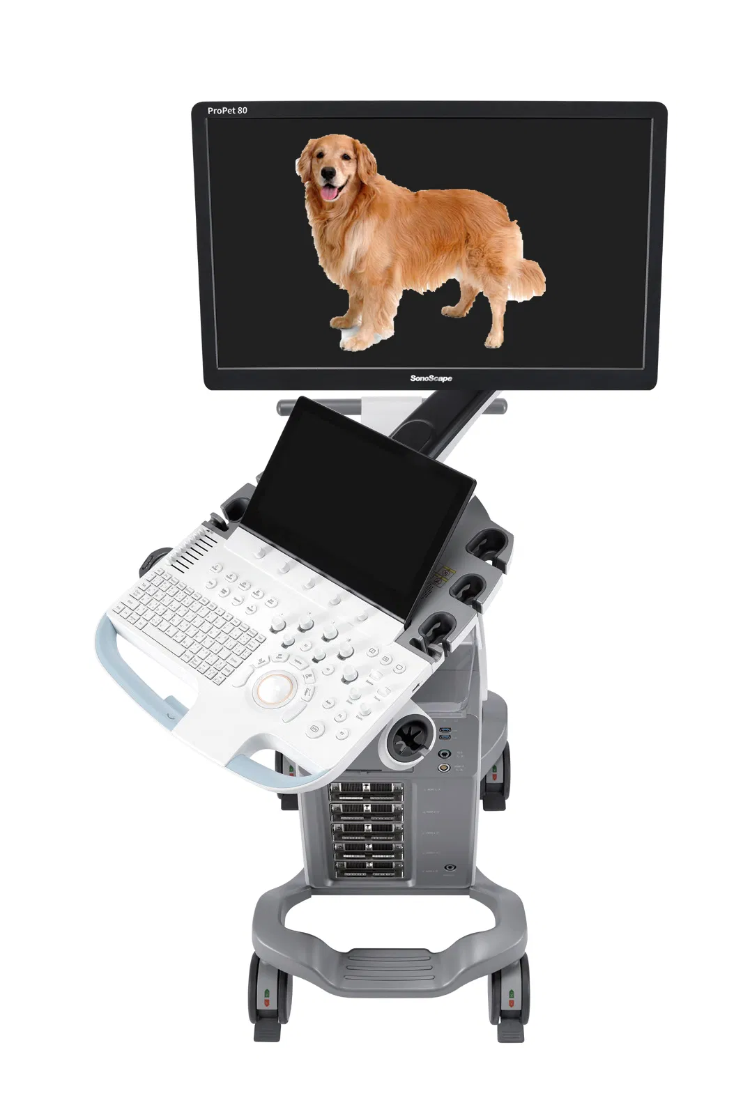 Sonoscape Propet80 Digital Veterinary Ultrasound Scanner Animal Ultrasonic Diagnostic System Price for Sale