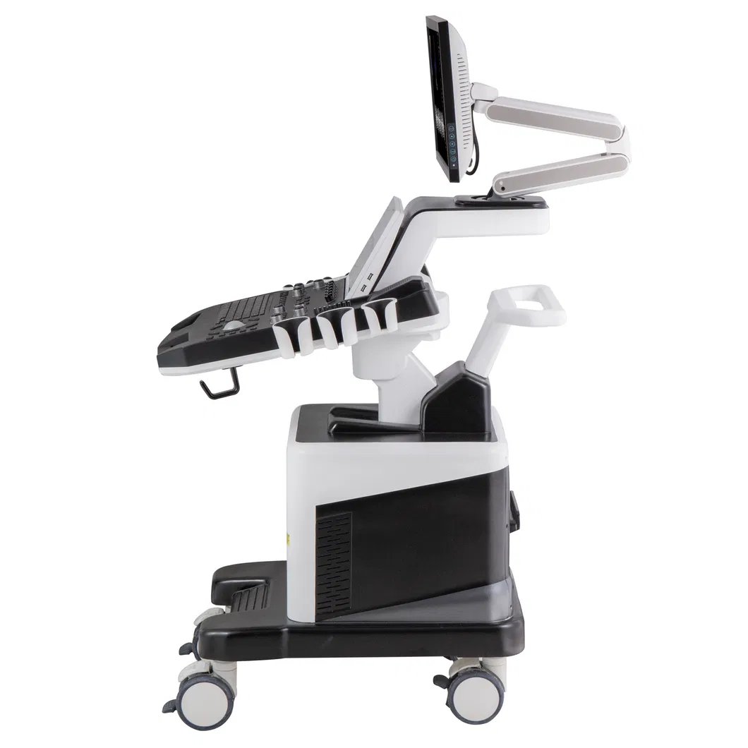 Veterinary Ultrasound System 1