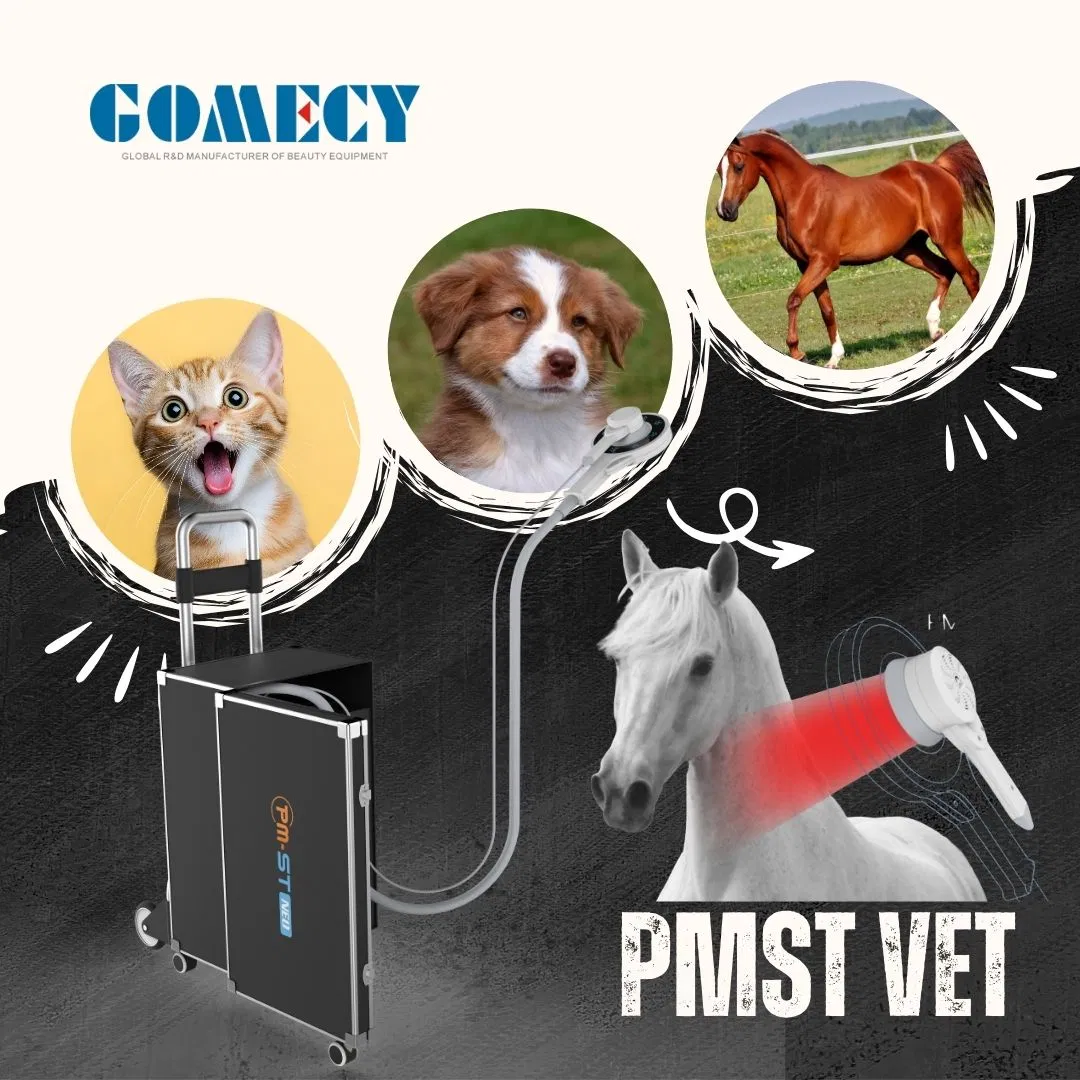Pmst Magneto Vet Clinic Use Pulse Field Therapy Body Injury Recovery Equipment