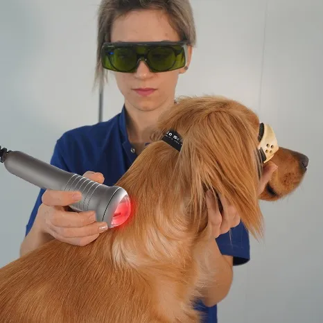 Veterinary Laser