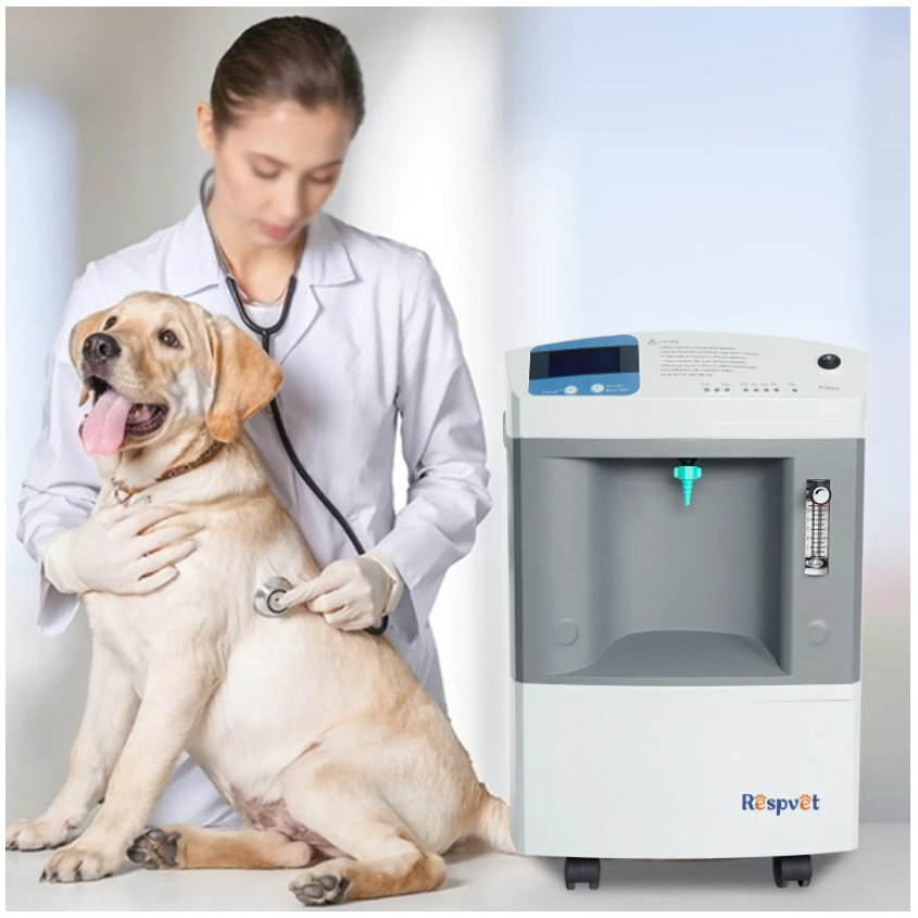 Chinese Manufacture CE Approved Veterinary Clinic Equipment Portable 10L Pet Oxygen Concentrators