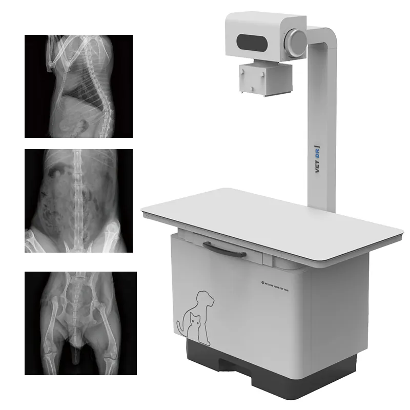 Veterinary X-ray System 1