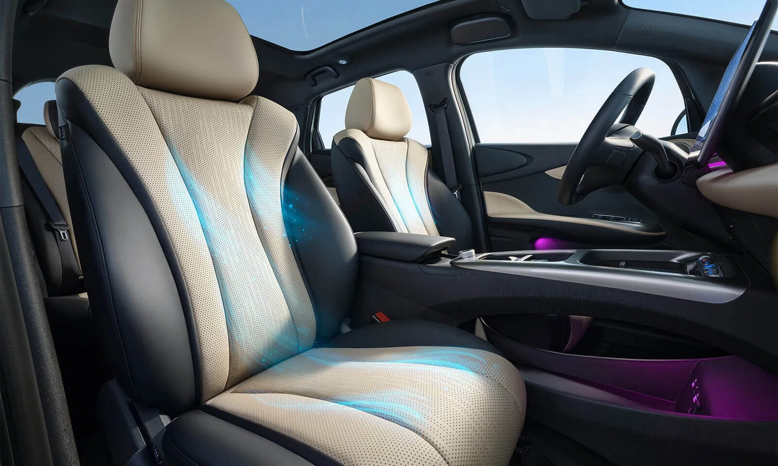 BYD Dolphin Seating