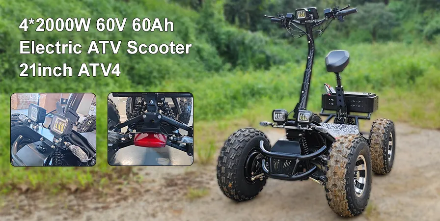 Electric ATV Display