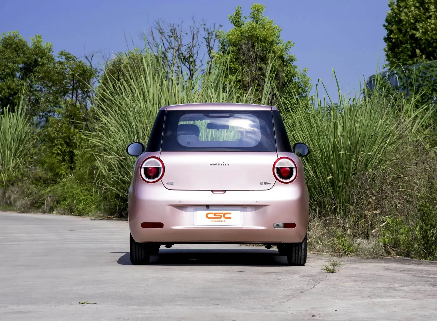 Eco-Friendly Changan Lumin Electric Vehicle for Urban Travel