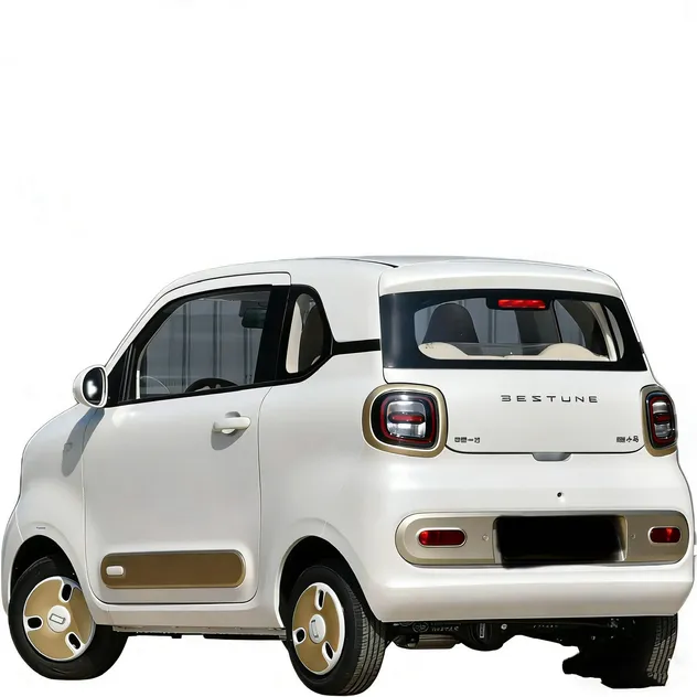 Bestune Pony Detail 4