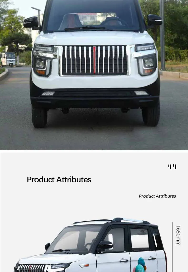 Electric Mini Car Detail 5