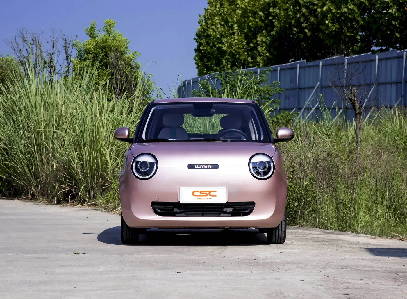 Eco-Friendly Changan Lumin Electric Vehicle for Urban Travel