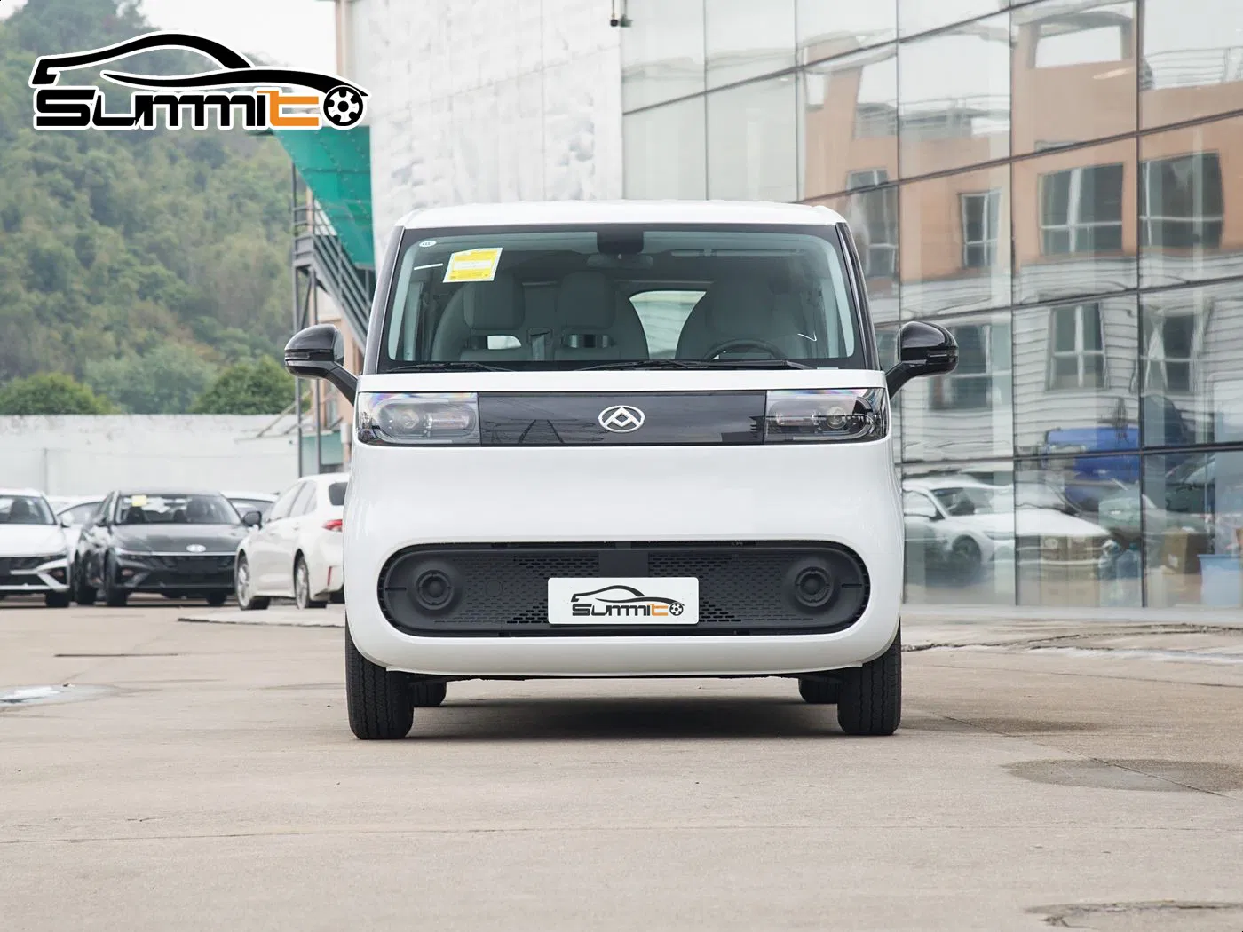 Electric Van Rear View