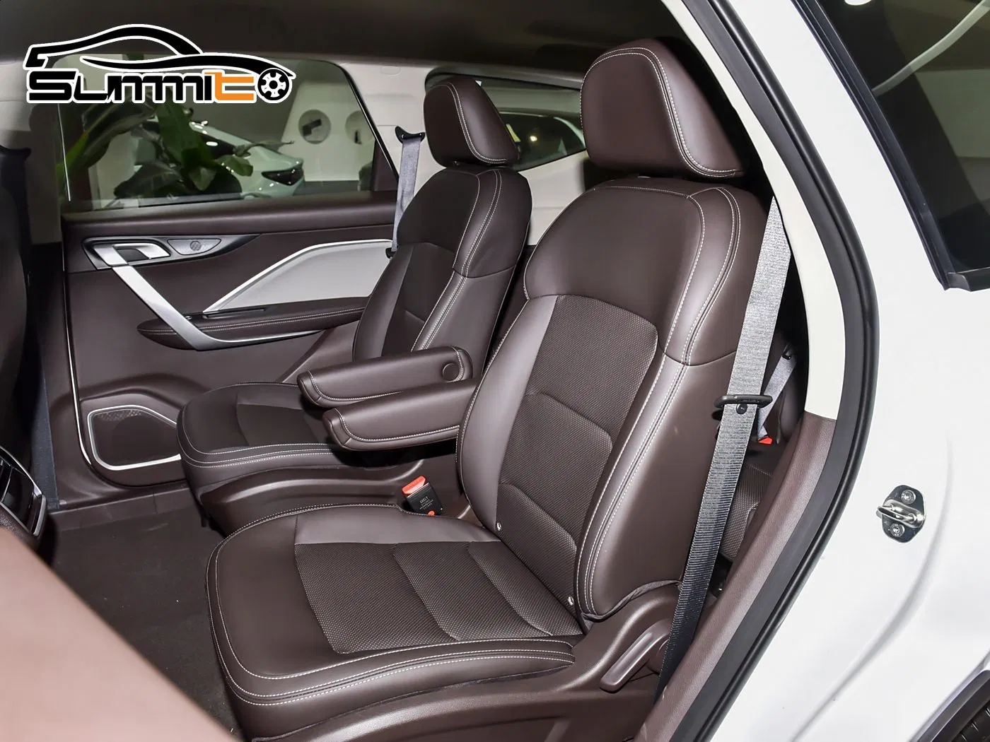 Premium Livan 8 Long Range Business Family Transport Electric MPV Minivan From China