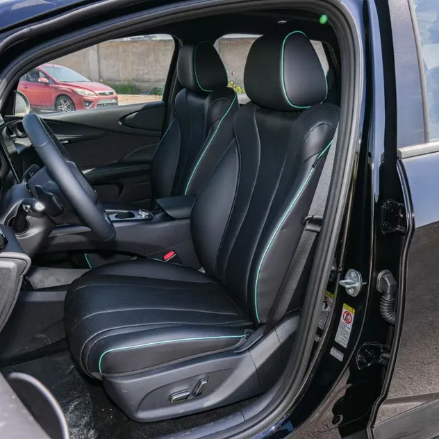 Byd Dolphin Interior 2