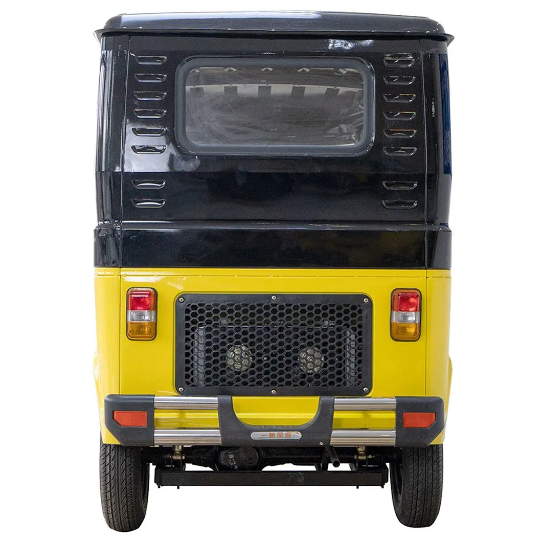 Two-Person Mode Family Minivan Electric Tricycle Motorcycle with Cabin